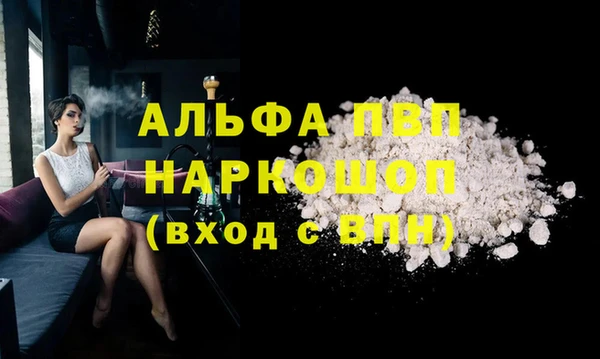 ECSTASY Пересвет