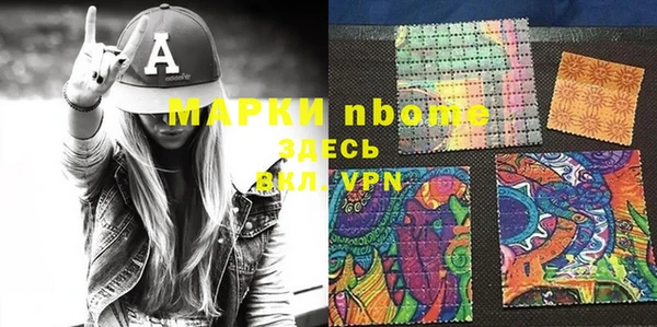 ECSTASY Пересвет