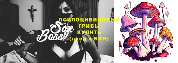 мяу мяу кристалл Переславль-Залесский