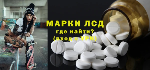 шишки Себеж