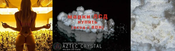 ECSTASY Пересвет