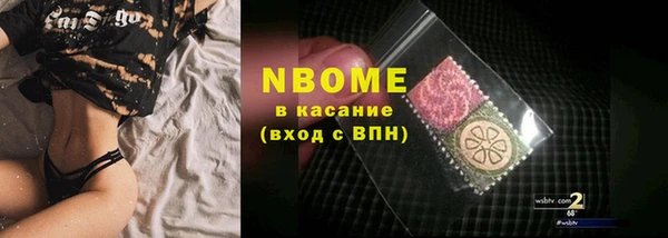ECSTASY Пересвет