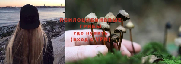 ECSTASY Пересвет