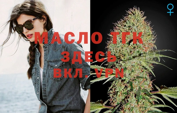 ECSTASY Пересвет