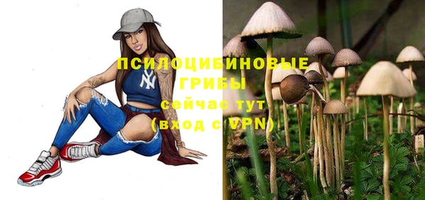 ECSTASY Пересвет