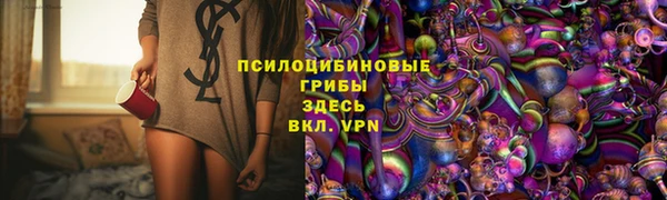 мяу мяу кристалл Переславль-Залесский