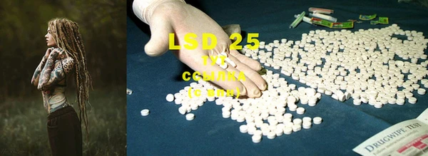 ECSTASY Пересвет