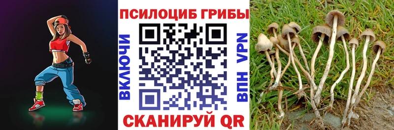 Галлюциногенные грибы Magic Shrooms  где можно купить   гидра маркетплейс  мориарти какой сайт  Динская 