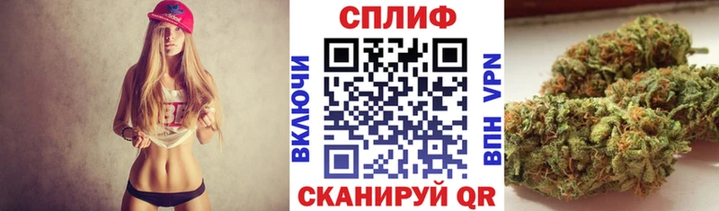 что такое   Динская  Бошки Шишки план 
